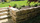Natursteinmauer Muschelkalk Zugsteine