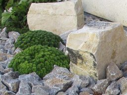 Muschelkalksplitt mit Pflanzen